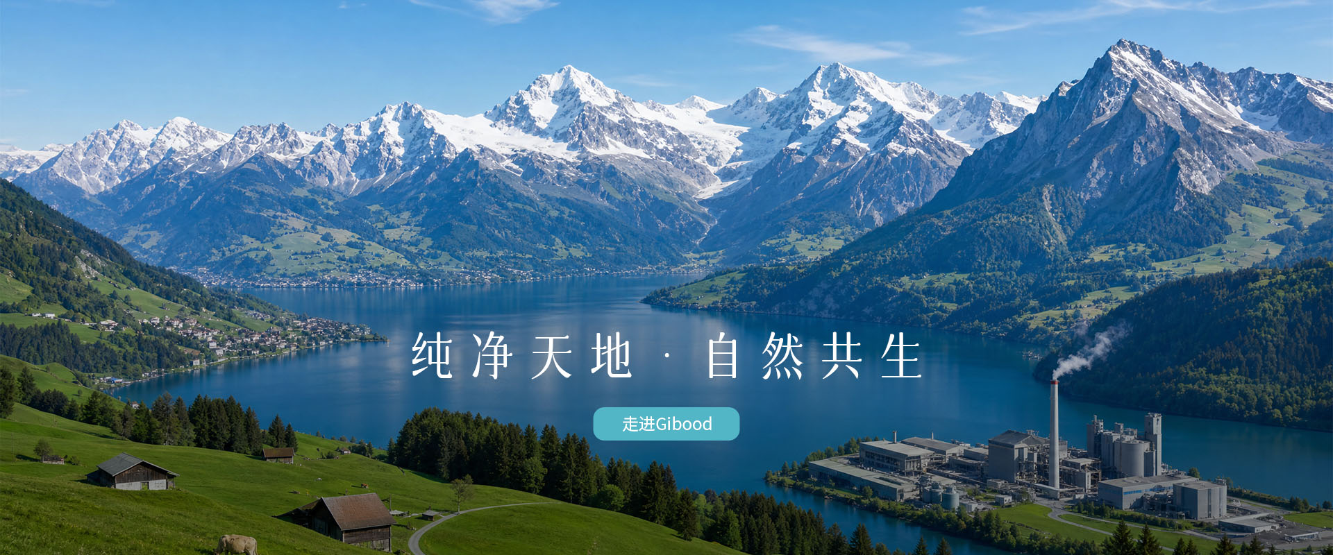 gibood 首页